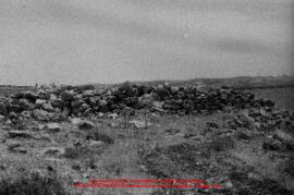 Film n°31. Prospection autour d'Iraq al-Amir. Site de Khirbat adh-Dharih (Wadi Laaban), juillet 1983
